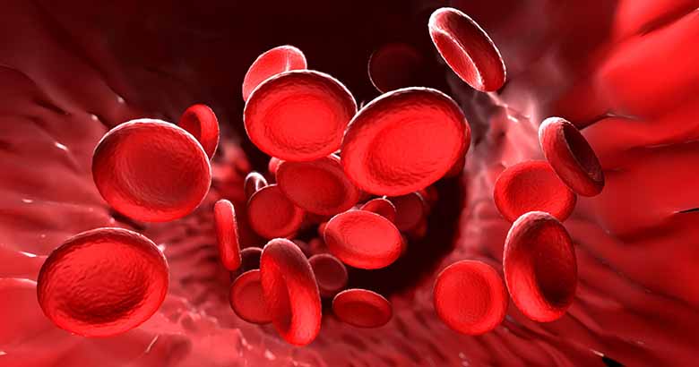 Закономерности между ультразвуковым исследованием капиллярного кровотока и элементным составом крови
