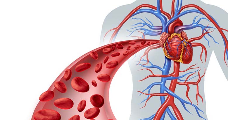 Типы и параметры артериального кровотока